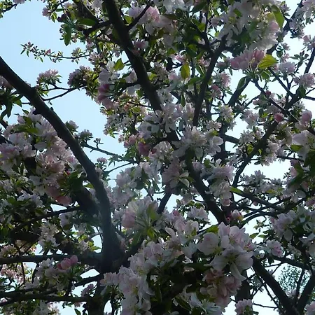 Pommiers Des Trois Pays Kemping 4*