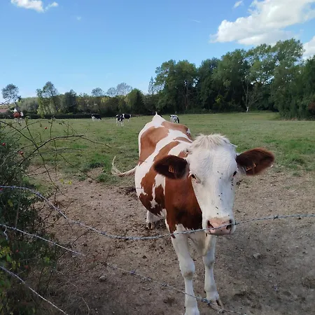 Pommiers Des Trois Pays