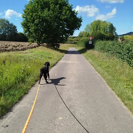 Pommiers Des Trois Pays Licques